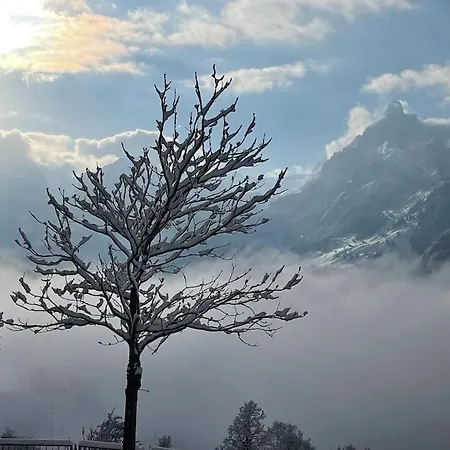 Apartament Style Camelia 3 At Chairlift