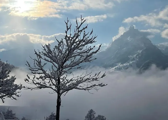 Apartament Style Camelia 3 At Chairlift